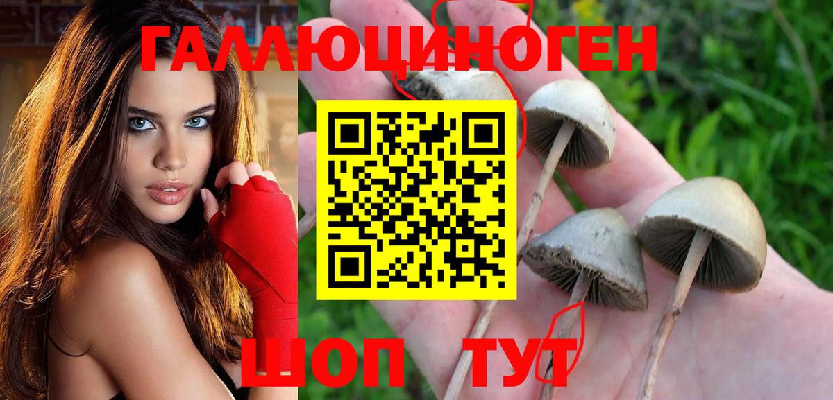 Галлюциногенные грибы GOLDEN TEACHER Кинель