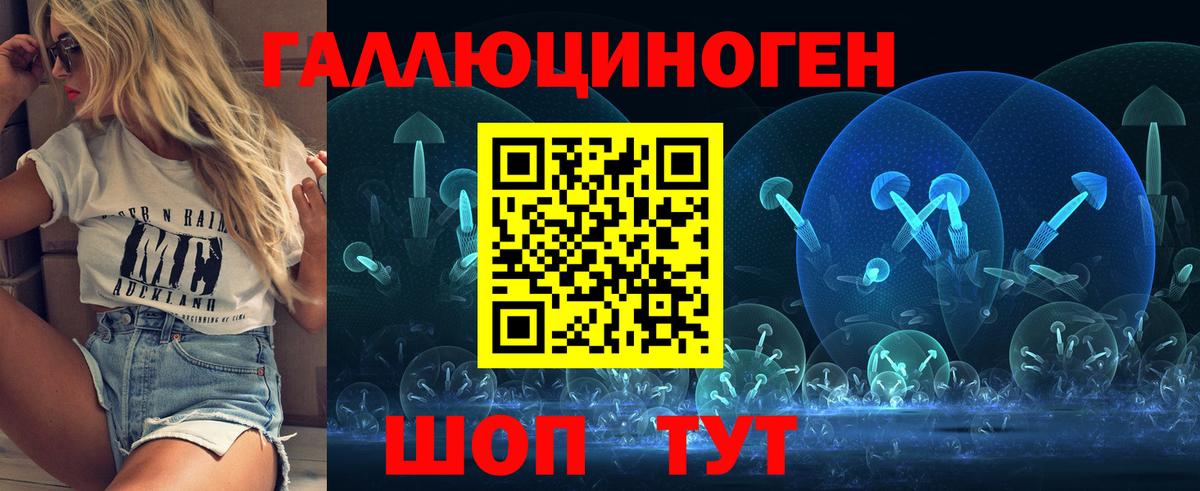 Кинель  Псилоцибиновые грибы Psilocybe  Вход с VPN 