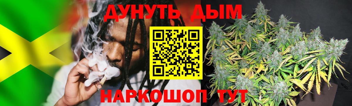 Конопля ГИДРОПОН  Конопля Bruce Banner  Кинель  Бошки марихуана конопля  Вход с VPN  Каннабис MAZAR 